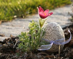«Frohe Ostern» wünscht uns Leserin Irenne Wanner und schickt uns dieses Bild aus Schötz.