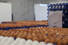 Im Rohlager warten die Eier darauf, gefärbt zu werden. (Bilder: Tobias Söldi)