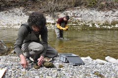 Roman Gerber und David Tanno (hinten) nehmen im Rotbach Proben von Kieselalgen und wirbellosen Tieren. Manche dieser Arten reagieren sensibel auf Wasserverschmutzung. (Bilder: Mea Mc Ghee)