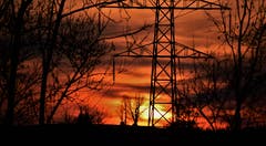 «Sonnenenergie» in Vorberg. Bild: Ledi Herzog (Willisau, 17. April 2019)