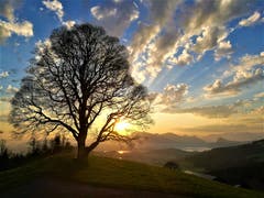 Traumhafter Sonnenaufgang heute Morgen auf dem Holderchäppeli/LU. (Bid: Urs Gutfleisch, Holderchäppeli, 19. April 2019)