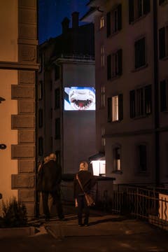 «Stadtprojektionen III»: Hannah Weinberger. Die Baslerin zeigte an der Stückelbergstrasse filmische Impressionen von St.Gallen - im Bild unter anderem den Haifisch aus dem Garten der Militärkantine. (Bild: Michel Canonica)