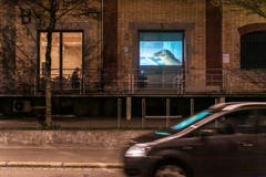 Beni Bischof liess dafür unter anderem ein Plastikpferd durch die Lachen «galoppieren». (Bild: Michel Canonica)