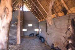 Innenansicht eines Pfahlbauhauses – hinten in der Ecke sind Säuli-Attrappen.