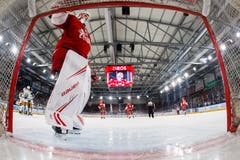 Die Zuger feiern das 0:1, Sandro Zurkirchen im Tor des Lausanne HC ist geschlagen. (Bild: Salvatore Di Nolfi / Keystone, Lausanne, 2. April 2019)