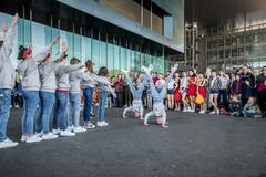 Auch Akrobatik-Figuren bekam das Publikum zu sehen. (Bild: Pius Amrein, Luzern, 20. April 2019)