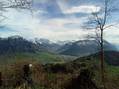 Ausblick vom Bürgenberg auf die grüne Landschaft. (Bild: Bruno Ringgenberg, Nähe Bergstation Hammetschwandlift, 21. April 2019)