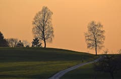 Schöne Abendstimmung bei Winzenberg-Tufertswil. (Bild: Walter Schmidt)