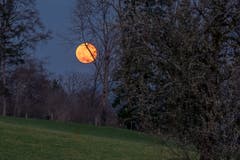 Bei Vollmond in Rupperswil bei Kirchberg SG. (Bild: Patrik Reichmuth)
