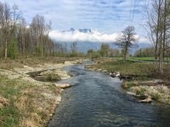Renaturierter Werdenberger Binnenkanal, fotografiert in Buchs. (Bild: Toni Sieber)