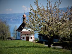 Was für eine herrliche, wunderschöne Umgebung. (Bild: Margrith Imhof-Röthlin, Buonas am See, 23. April 2019)