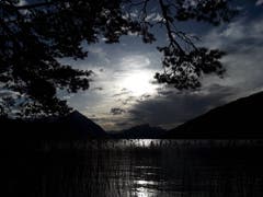 Abendstimmung im Naturschutzgebiet Weissenau. (Bild: Bruno Ringgenberg, Unterseen, 23. April 2019)