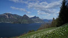 Föhnstimmung am Vierwaldstättersee. Aufnahme vom Buochserberg Richtung Osten. (Bild: Christian Hählen, Buochs, 23. April 2019)