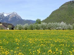 Schöner Blick von Stans Richtung Pilatus. (Bild: Hans Steiner, Stans, 24. April 2019)