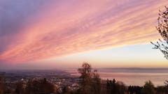 Sonnenaufgang in Rorschacherberg am frühen Ostersonntag. (Bild: Julia Buob)