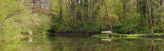 Lochmühleweiher bei Illighausen. (Bild: Thomas Ammann)