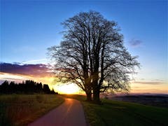Wunderbarer farblicher Sonnenuntergang. (Bild: Urs Gutfleisch, Ruswil, 23. April 2019)