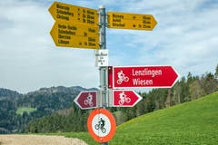 Dieser Schilderbaum bei Mosnang dürfte manchen Biker ins Grübeln bringen! (Bild: Wolfgang Reisser)