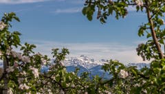 Säntis-Sicht von Berg TG aus. (Bild: Michael Eicher)