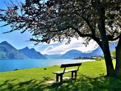 Frühling am Vierwaldstättersee. (Bild: Urs Gutfleisch, Buochs, 25. April 2019)