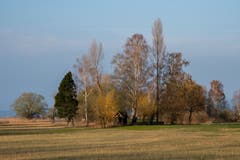 Idylle am Rheindelta. (Bild: Edgar Huber)