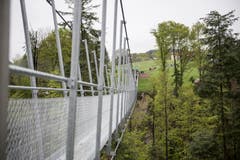 In 40 Metern Höhe überspannt die Hängebrücke das Tobel.