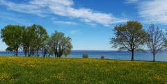 Seeuferlandschaft in Arbon bei Föhnlage. (Bild: Klaus Businger)