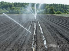 Noch herrscht in der Schweizer Landwirtschaft im Vergleich zu Deutschland keine Alarmstimmung wegen Trockenheit. (Bild: KEYSTONE/THOMAS DELLEY)