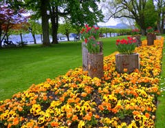 Frühling! (Bild: Walter Buholzer, Luzern, 23. April 2019)