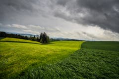 Heute Regen, die Natur freuts! (Bild: Vinzenz Blum, Ebersecken, 27. April 2019)