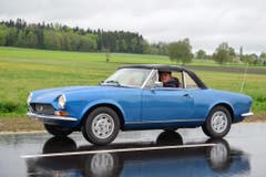 Ein Peugeot 203 beim Treffen in Sulgen. (Bild: Daniel Ebinger)