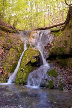 Kostbares Nass. Jetzt führen die Bäche wieder Wasser. (Bild: Priska Ziswiler-Heller, beim Sempachersee, 27. April 2019)