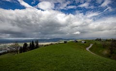 Aprilwetter auf dem Zugerberg. (Bild: Daniel Hegglin, Zugerberg, 28. April 2019)