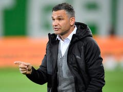 Die Grasshoppers warten auch nach sieben Spielen unter Trainer Tomislav Stipic auf einen Sieg (Bild: KEYSTONE/GIAN EHRENZELLER)