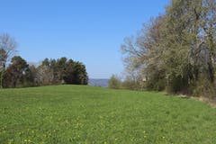 Nach dem Wald ist rechts ein Hochsitz zu sehen. Nach dem Waldweg folgt ein Stück ein Feld entlang. (Bild: Marlen Hämmerli)