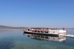 Die Schweizerische Schifffahrtsgesellschaft Untersee und Rhein AG fährt die Strecke drei- bis viermal pro Tag. (Bild: Marlen Hämmerli)
