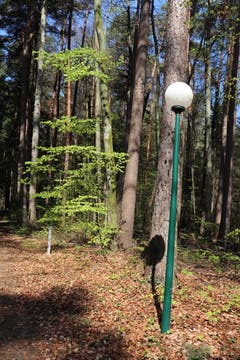 Im Wald ist ein Pfad von zwei Kandelabern eingerahmt: Er führt zu einem Weiher und zum Schloss Eugensberg. (Bild: Marlen Hämmerli)