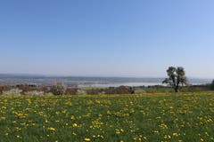 Im Adelmos ist der Blick auf den Untersee am besten. (Bild: Marlen Hämmerli)