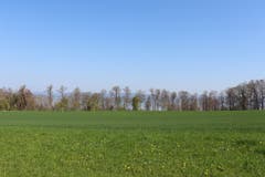 Blick über den Burst und Richtung Bodensee. (Bild: Marlen Hämmerli)