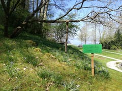 Das Betreten der Wiese ist verboten. (Bild: Marlen Hämmerli)