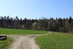 Nach dem Waldweg folgt ein Stück ein Feld - den Burst - entlang. (Bild: Marlen Hämmerli)