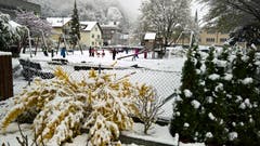 Während der Forsythienstrauch schwere Last trägt, vergnügen sich die Kinder auf dem Spielplatz im Schnee. (Bild: Karl Graf, Stansstad, 4. April 2019)