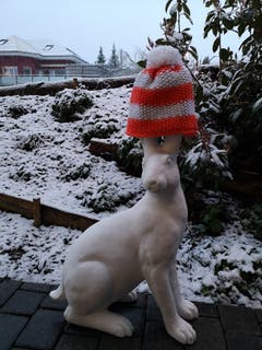 Ein Osterhase im Schnee. (Bild: Silvia Baumann)
