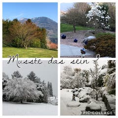 Gestern und heute; Für einmal stimmten die Wetterprognosen tatsächlich. (Bild: Margrith Imhof-Röthlin, Meggen, 4. April 2019)