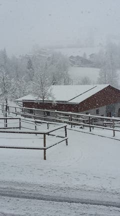 So sieht es am Donnerstagmorgen in Schwarzenberg (Luzern) aus. (Bild: facebook.com, Pia Feierabend)