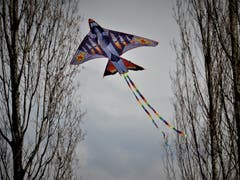Ohne Wind kommt so ein Drachen nicht ins Steigen; am Mittwoch zeigten sich am Quai in Luzern aber perfekte Bedingungen. (Bild: Margrith Imhof-Röthlin, Luzern, 3. April 2019)