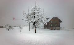 Winterstimmung auf dem Zugerberg. (Bild: Daniel Hegglin, 04. April 2019)