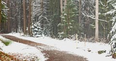 Aprilwetter-Studie im Andwiler Moos. (Bild: Walter Schmidt)