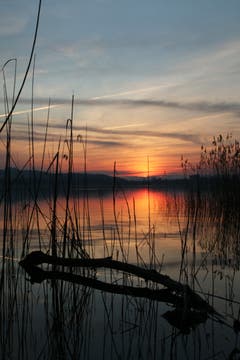 Die Sonne hat sich verabschiedet. (Bild: Irene Wanner, Eich, 6. April 2019)
