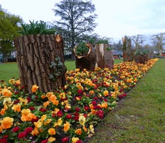 Blumen am Carl-Spitteler -Quai. (Bild: Walter Buholzer (Luzern, 7. April 2019)